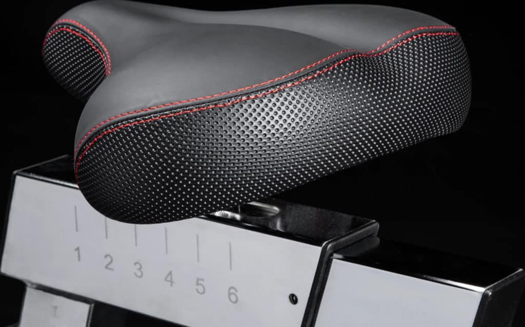 Rogue Echo Bike V3.0 Rental
