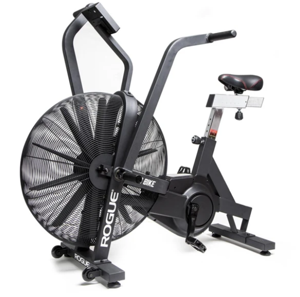 Rogue Echo Bike V3.0 Rental