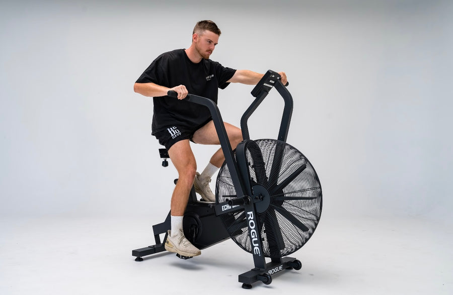 Rogue Echo Bike rental