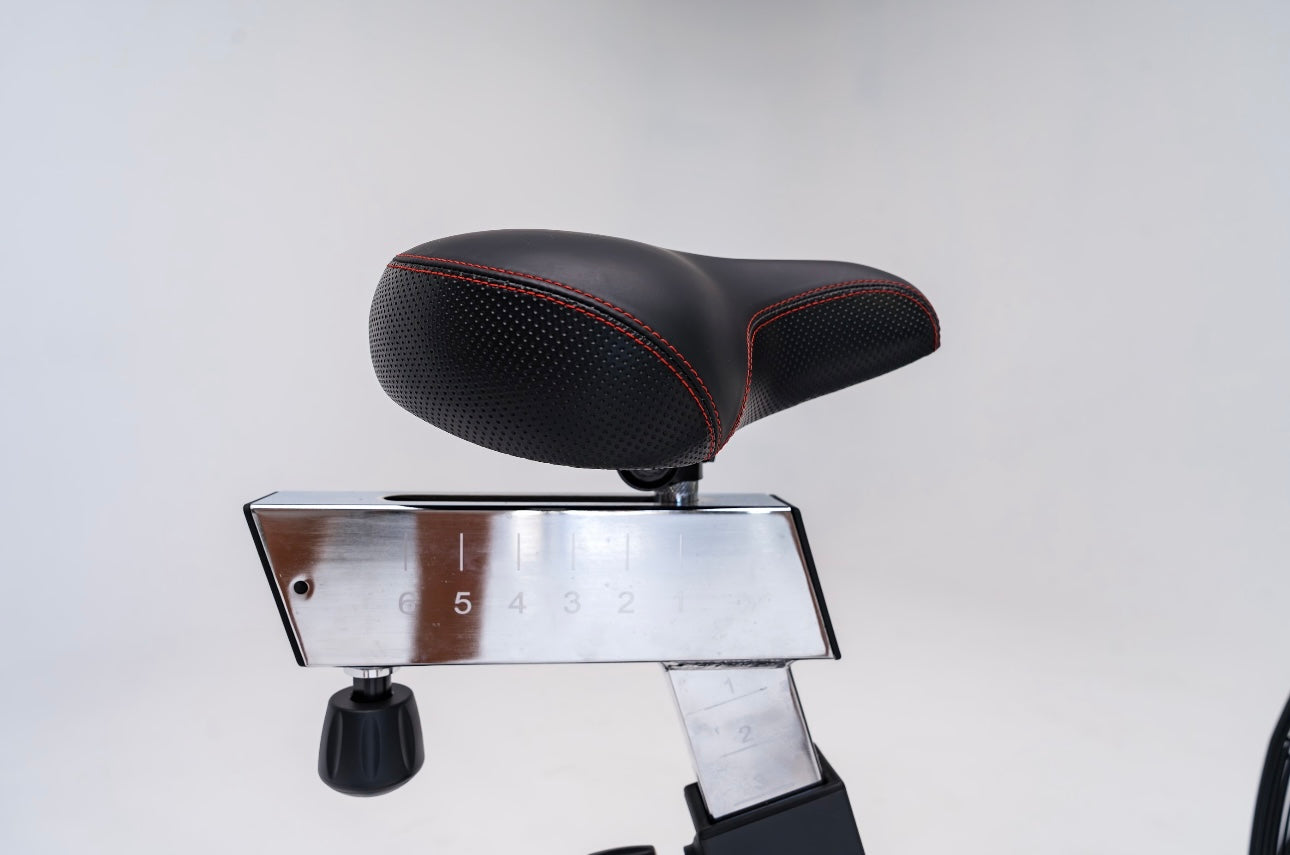 Rogue Echo Bike V3.0 Rental